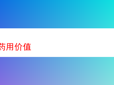 鬥絲的獨特魅力與品吸體驗